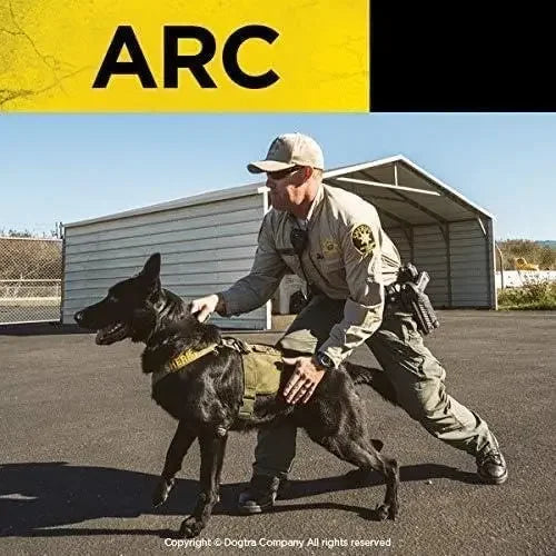 hot-sellingARC Slim Ergonomic 3/4-Mile Remote Dog Training E-Collar with 127-Level Precise Control via LCD Screen