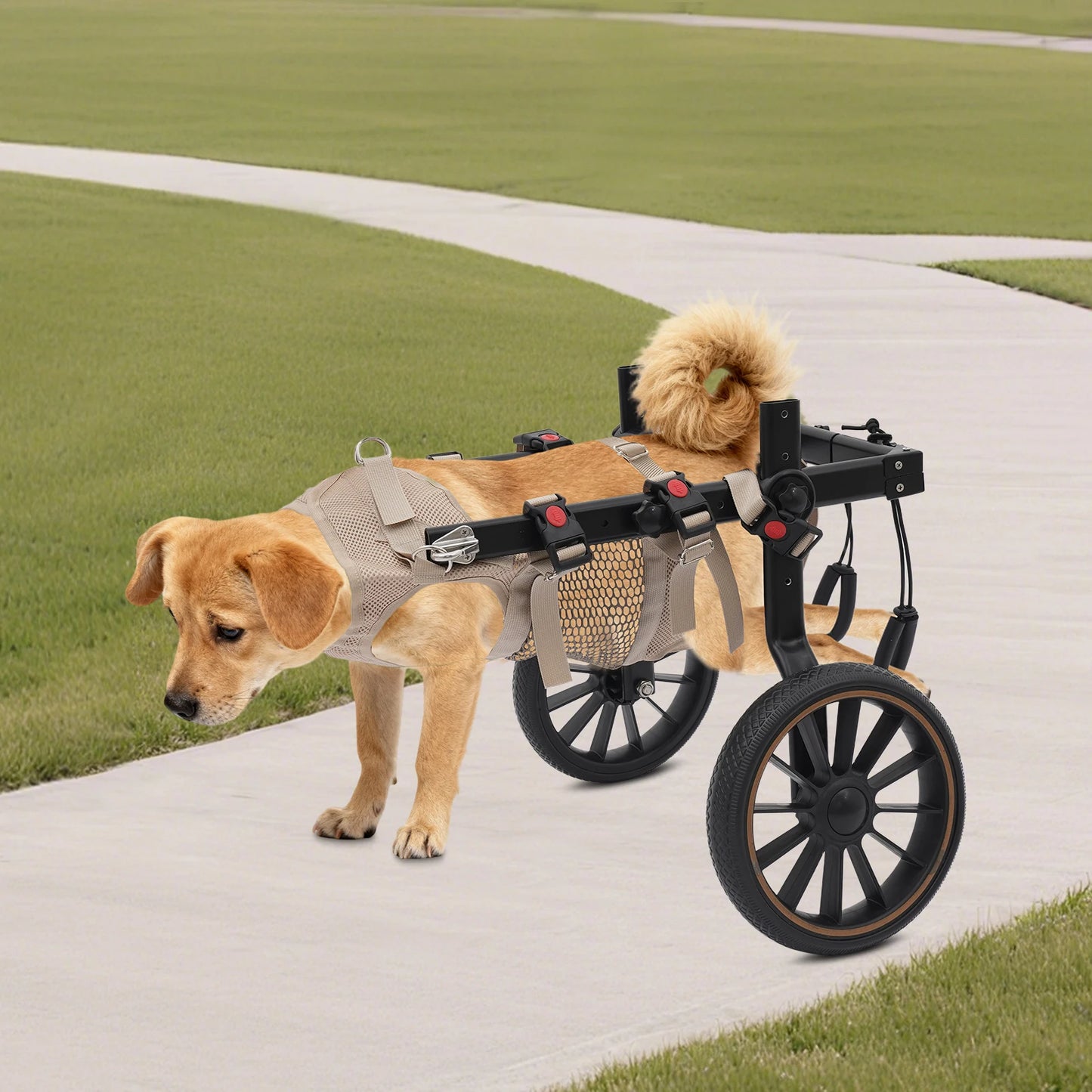 Pet Walking Aid Adjustable Dogs Wheelchairs 2-wheel Pet Rehabilitation Walking Aid Portable Walk Trolley Tools for Hind-Leg Support