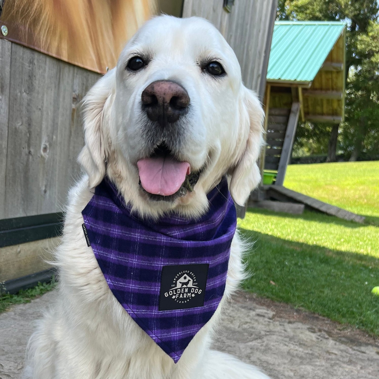 Dog Bandanas
