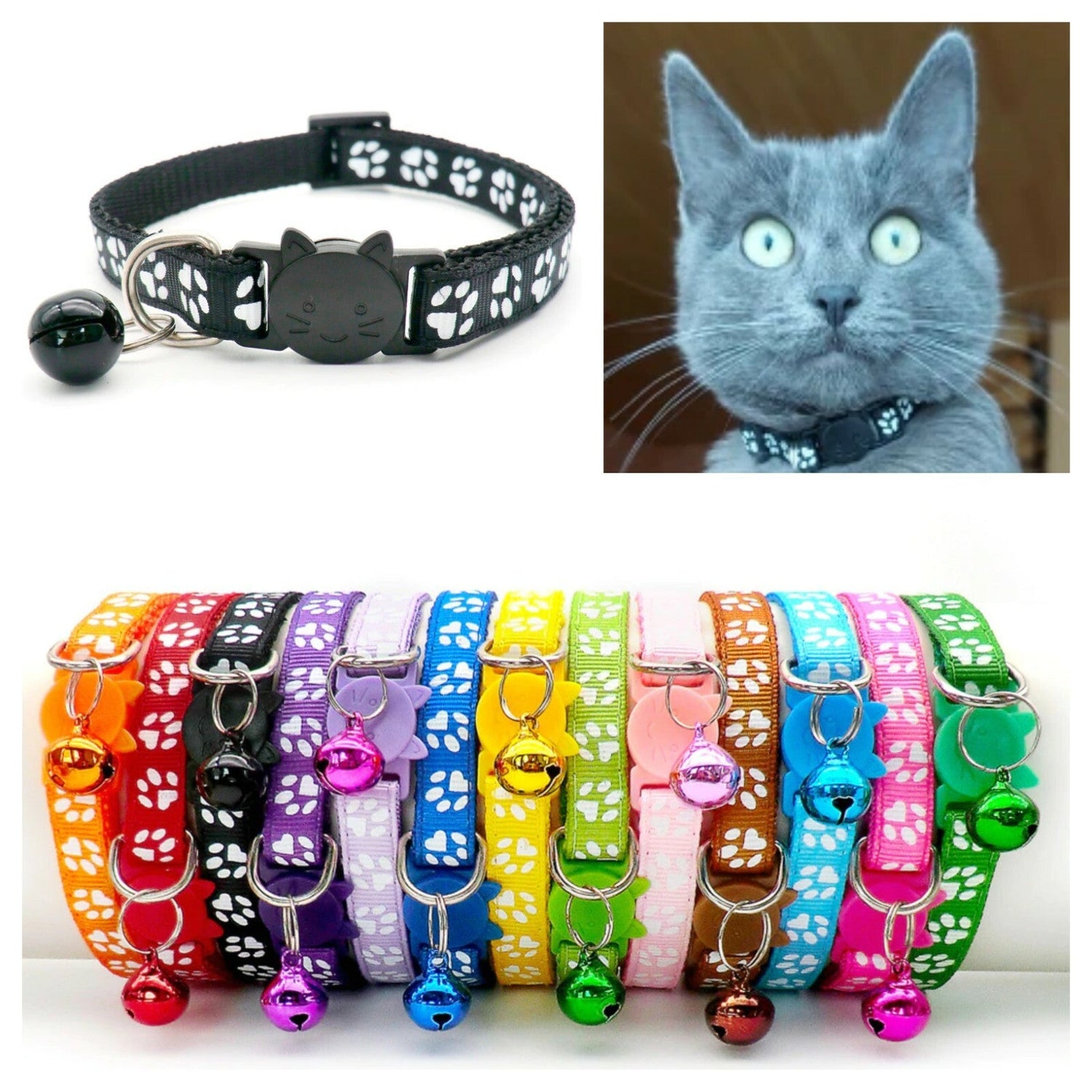 Cat Collars