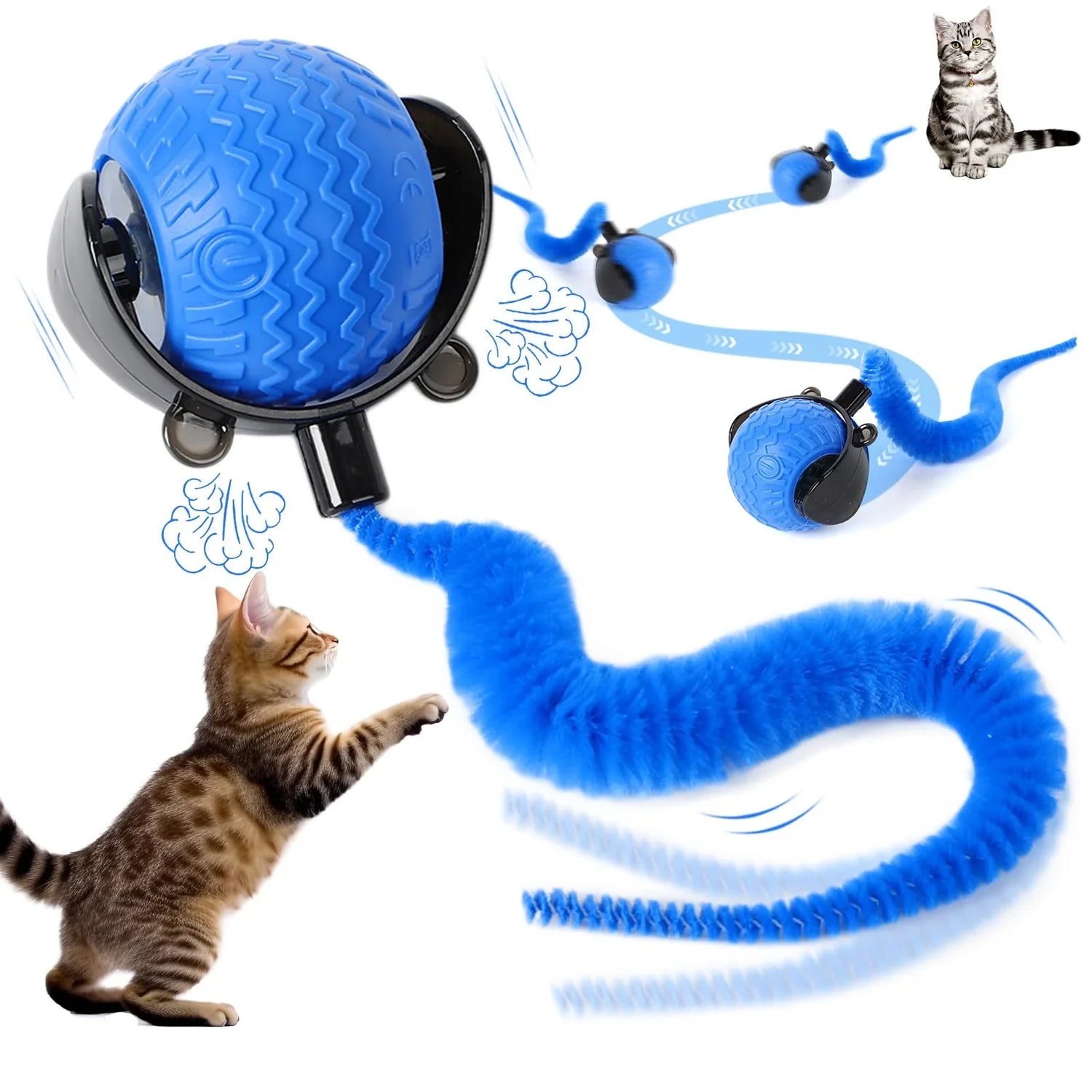 Cat Toys