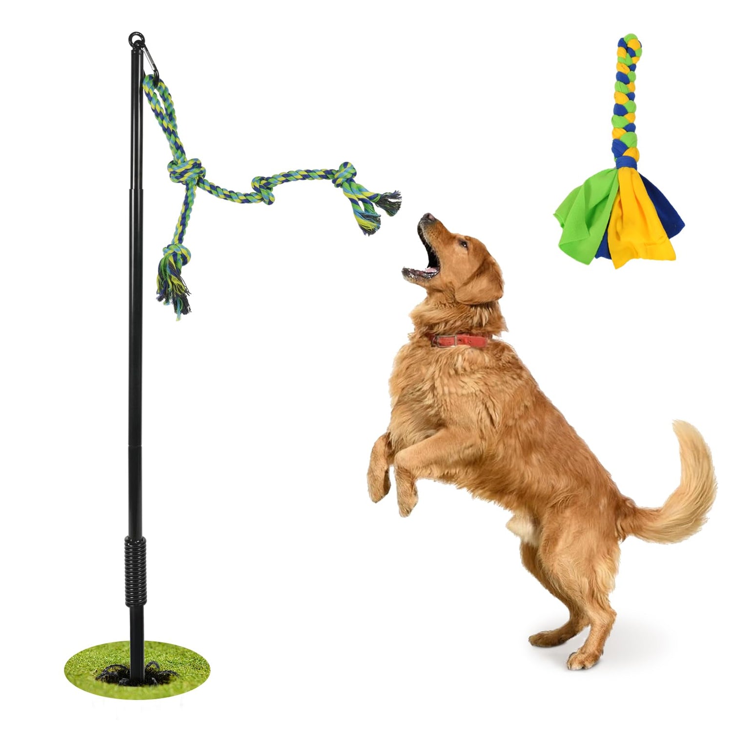 Dog Outdoor Toys
