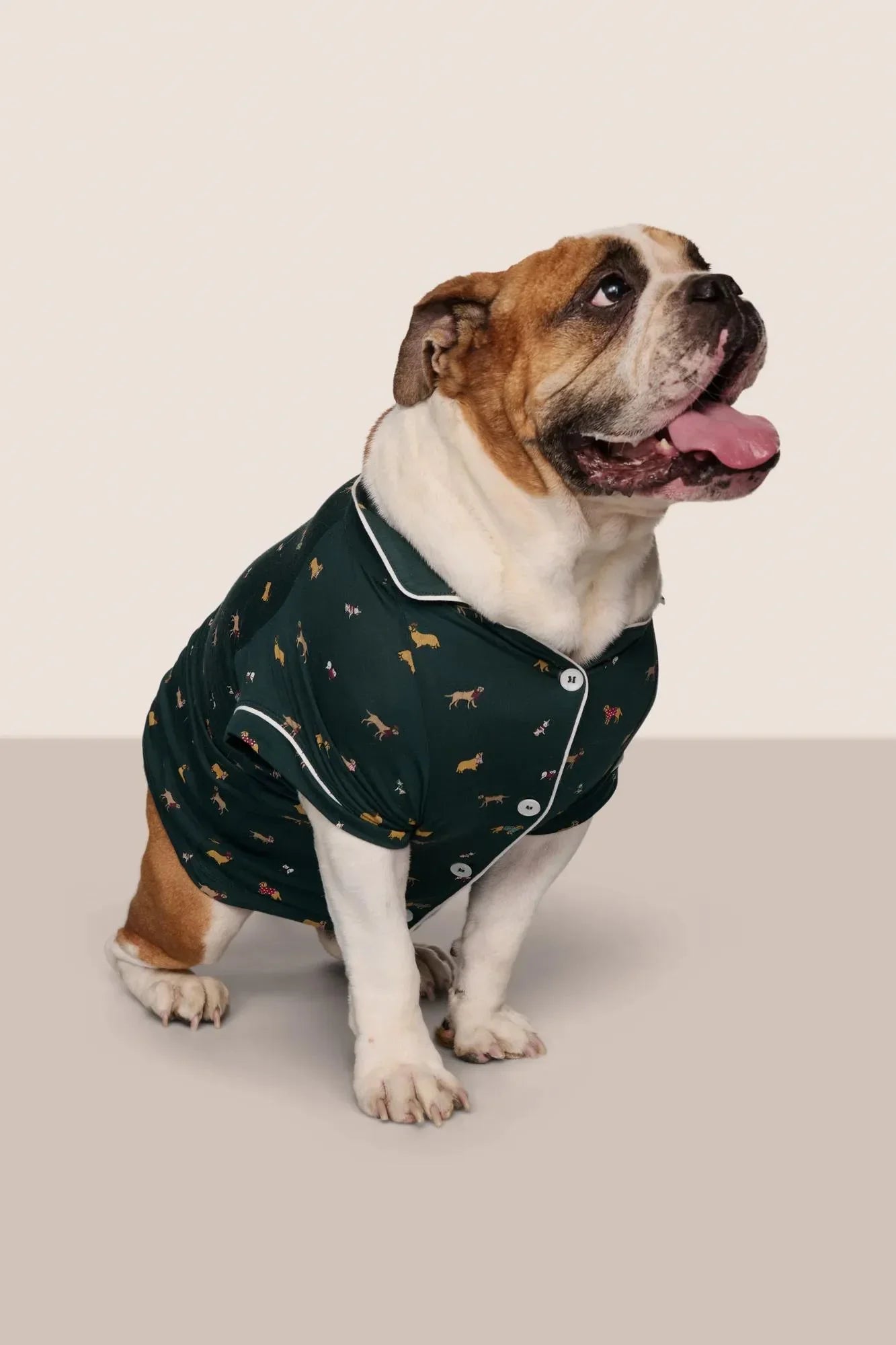 Dog Pajamas