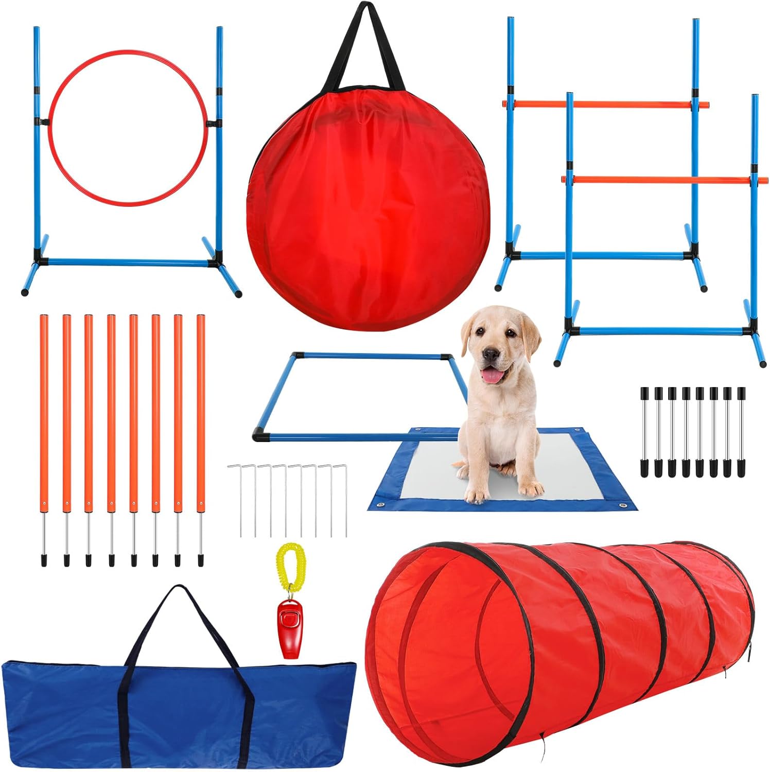 Show Dog Training