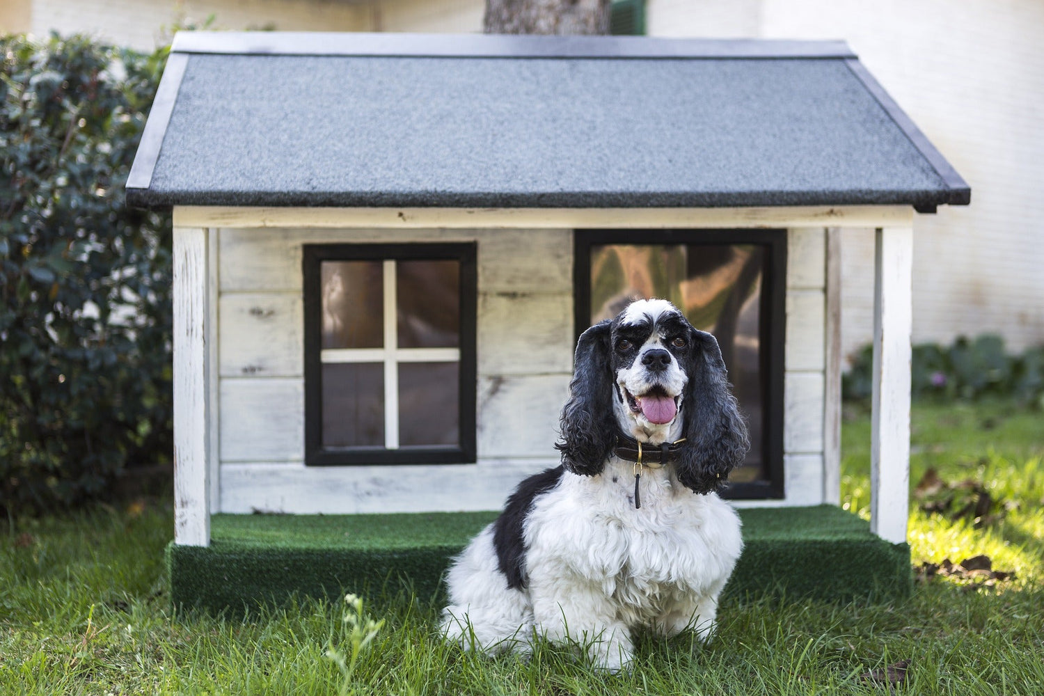 Outdoor Dog Homes