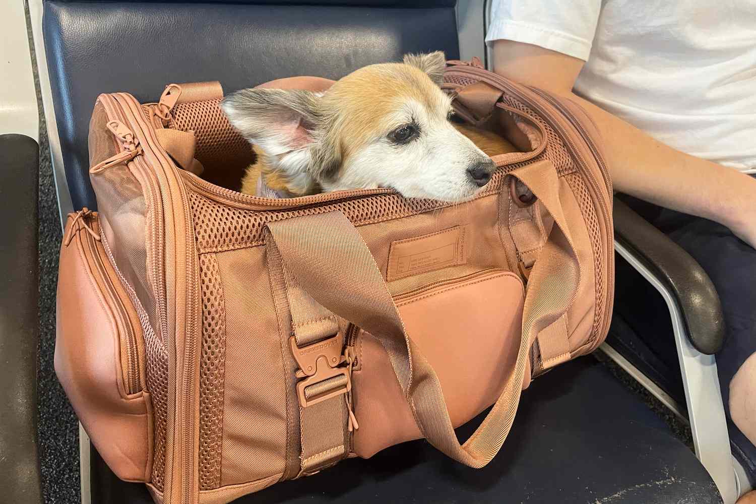 Pet Carriers