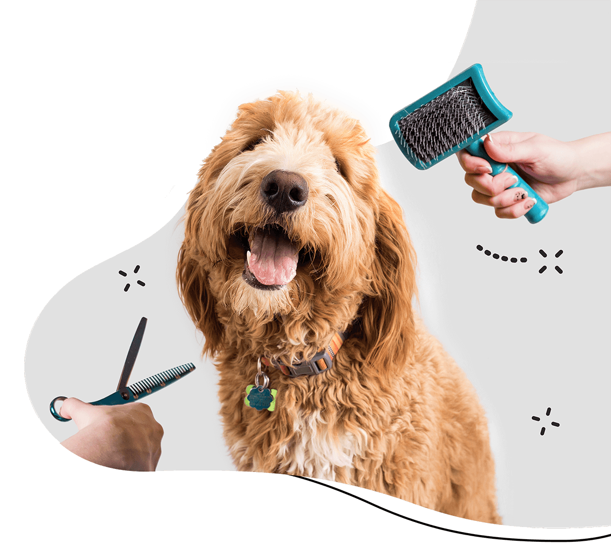 Pet Grooming