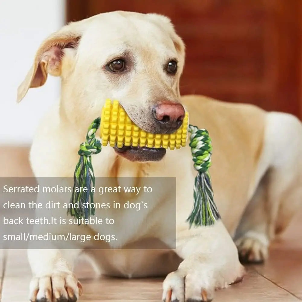 Durable Chewy Squeaking Interactive Dog Toys for Strong Chewing - Suitable for Small Medium Large Dogs