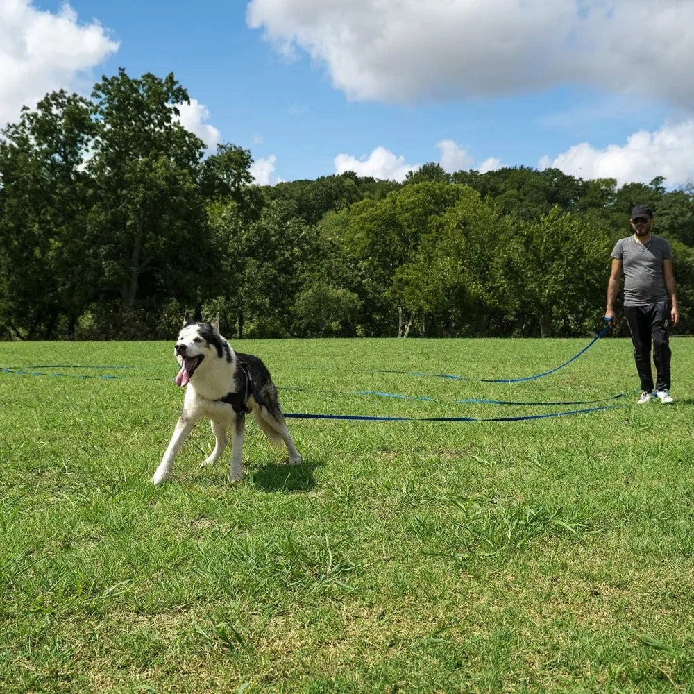 15-100ft Dog Training Leash, Nylon Long Lead for Recall, Obedience, Camping, Backyard - Black