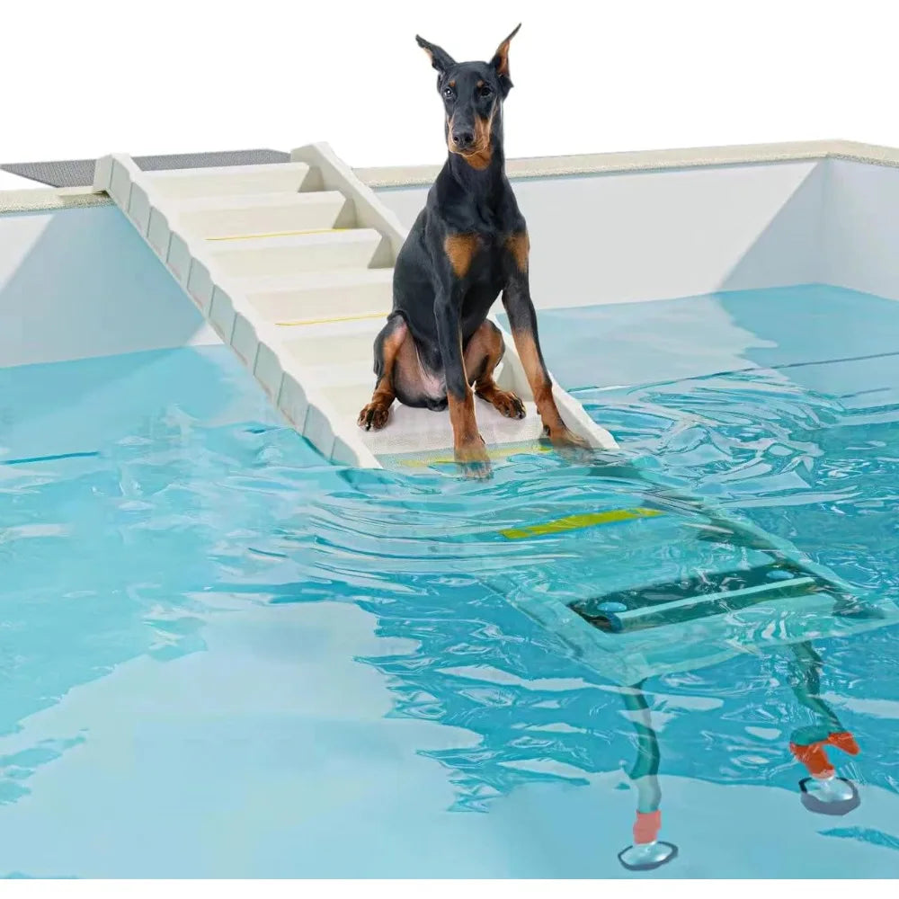 Foldable Dog Pool Ramp with 33" Legs for Free Height Adjustment,Safe & Easy Access dog water ramp for pool, Pool Ramp for Dogs U