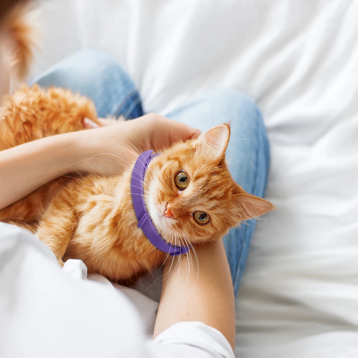 Cat Calming Collar Soothing Collar Anti-Anxiety Calming Pheromone Collar Comfort Cat Calm Collar for All Types of Cats