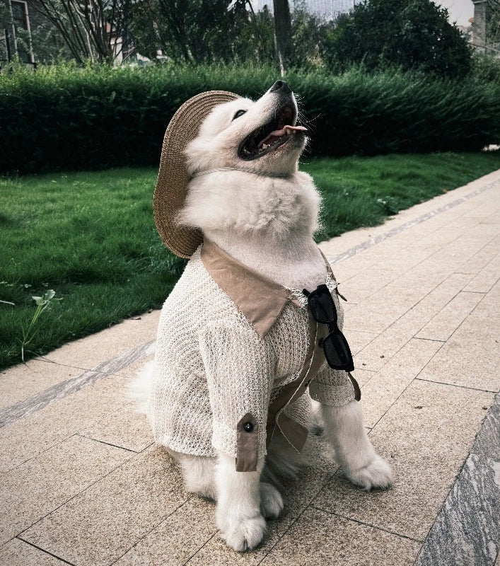 Original Pet Vintage Shirt Hollow Knit Mesh Breathable Short Sleeve Doberman Large Breed Dog Daily Summer Wear Pet Clothes