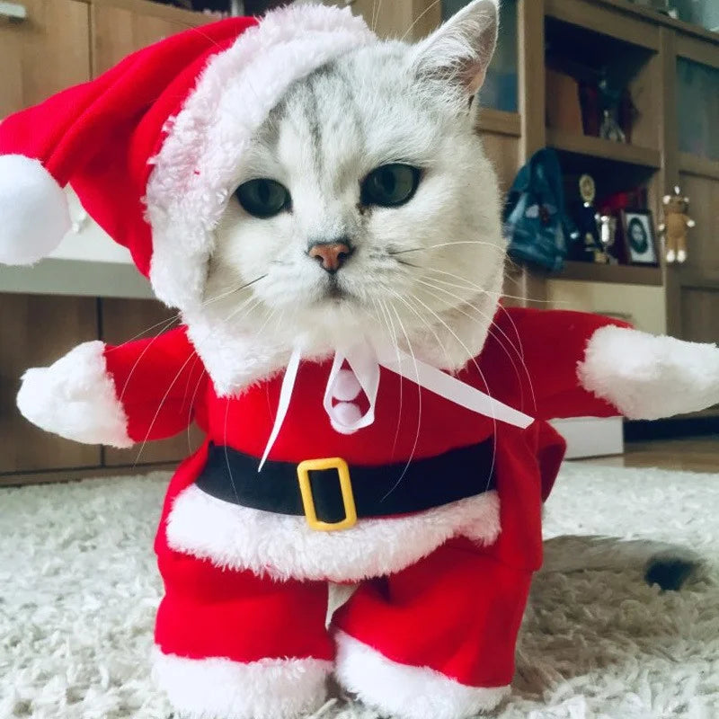 Xmas Santa Claus Cosplay Pet Outfit 3D Standing Design Warm Holiday Costume With Hat Cute Christmas Clothes For Kittens