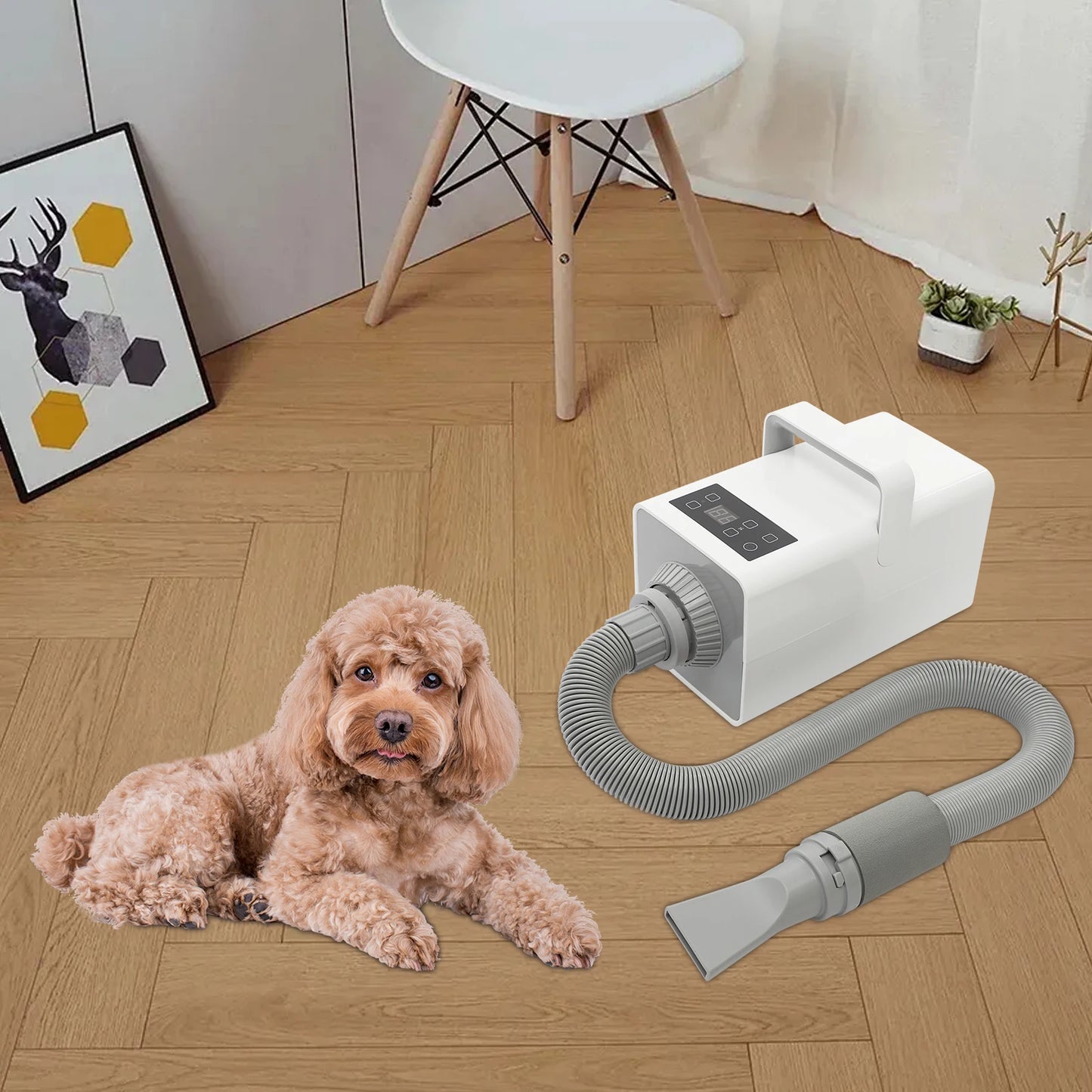 1900w Negative Ion Pet Grooming Hair Dryer Adjustable Temperature Speed For Home Pet Salon Dog Cat Fur Drying