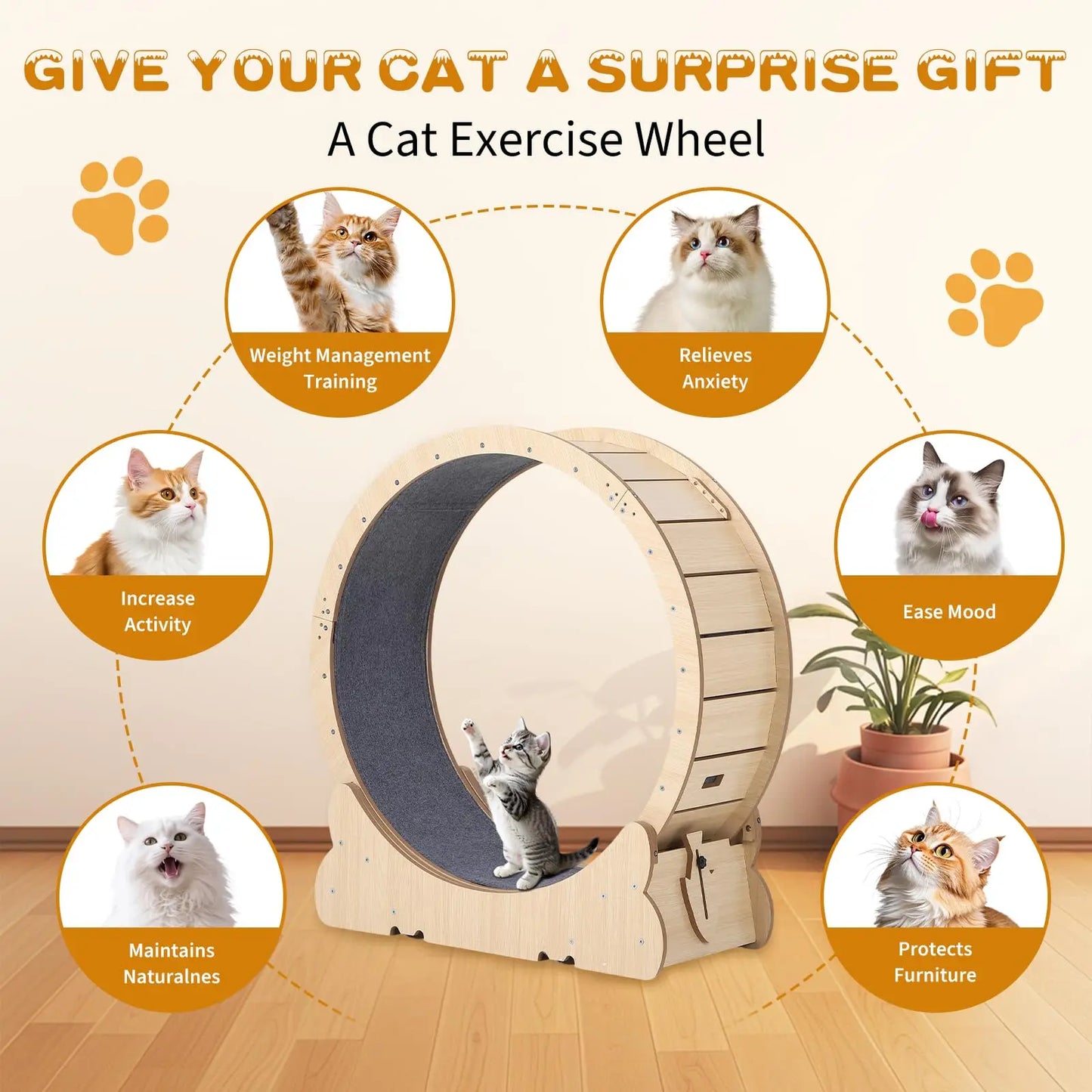 39.4inch Cat Exercise Wheel, Cat Running Wheel for Indoor Cats, Cats Treadmill Wheels with Quiet Carpeted Runway & Locking Mechanis