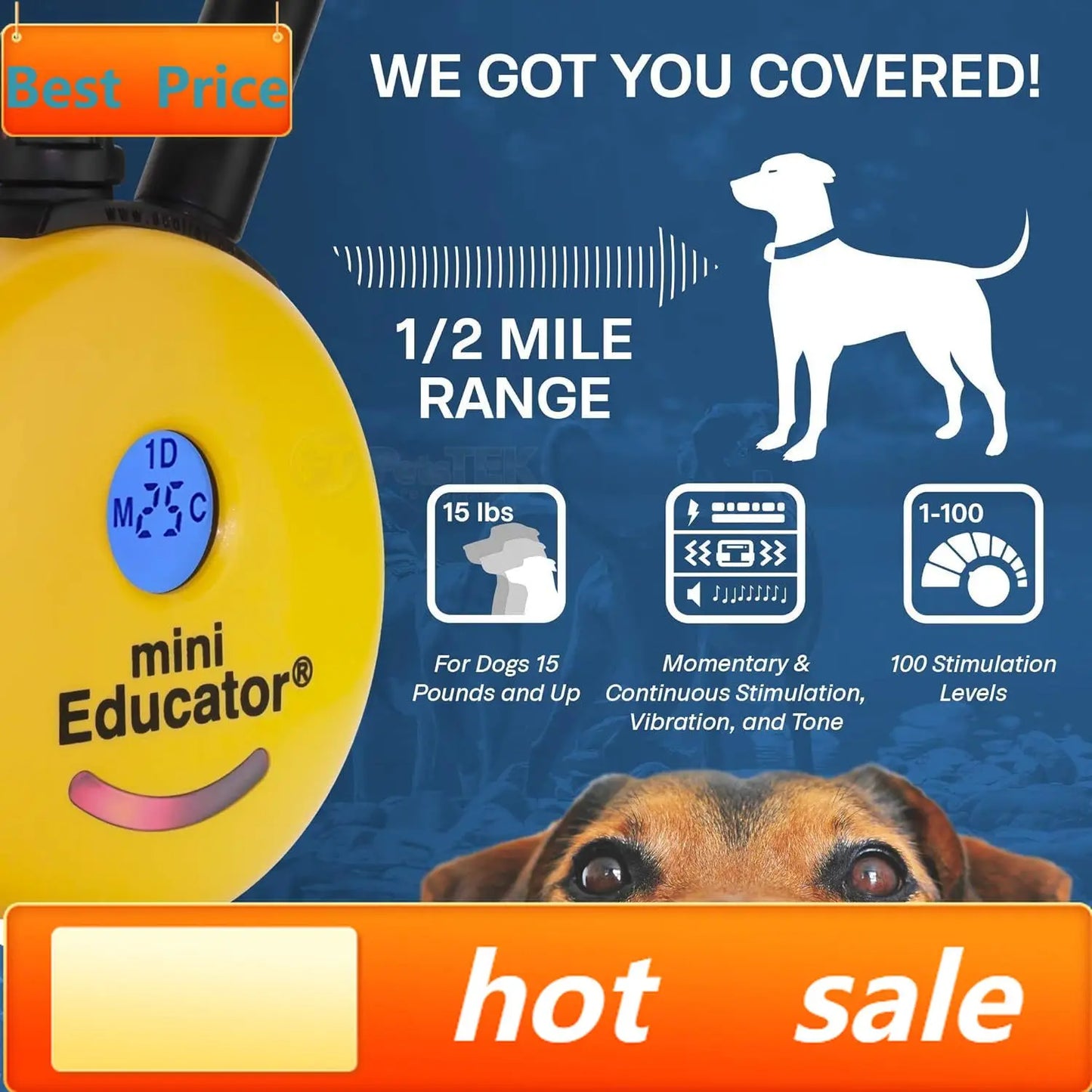 hot-sellingET-300 Mini E Collar for Dog Training with Remote - 1/2 Mile Range, Waterproof, 100 Blunt Stimulation Levels, Tone or