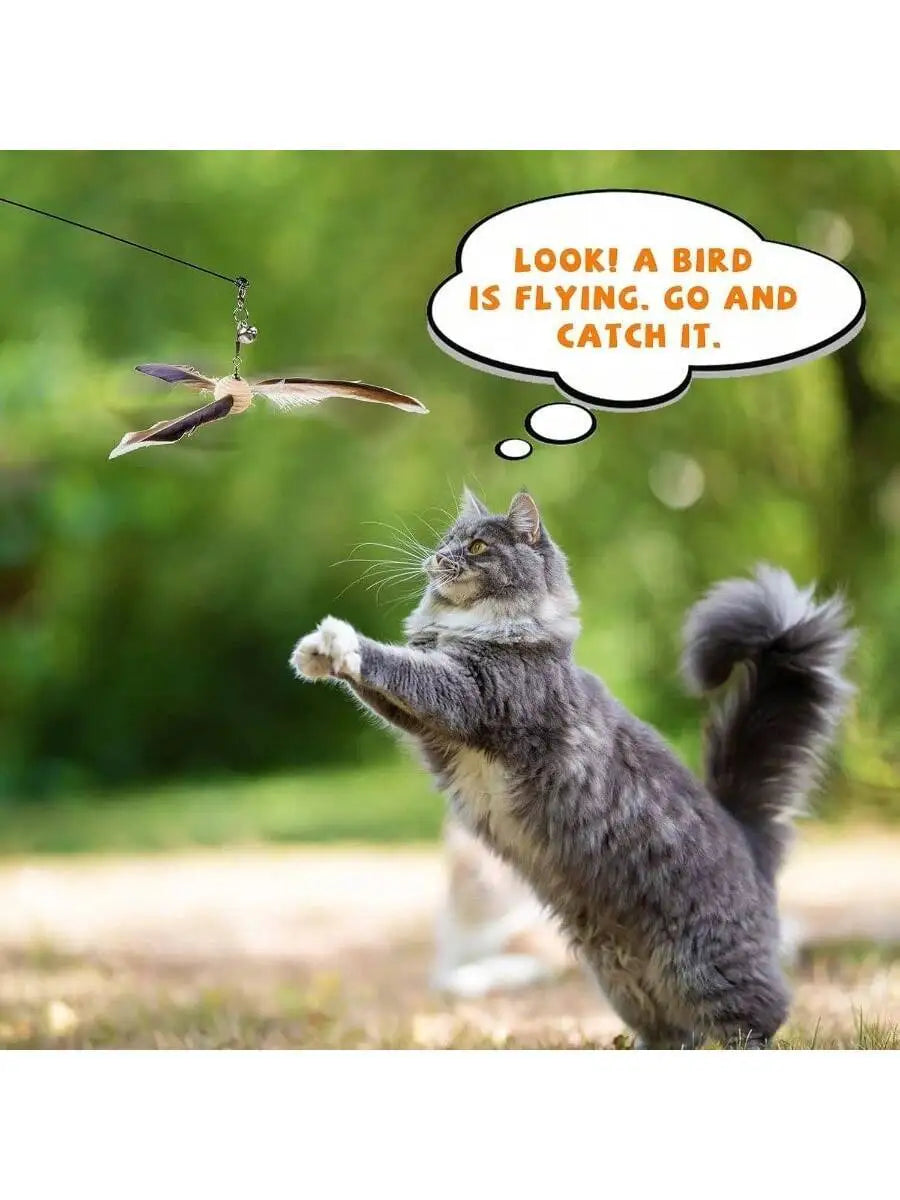 Interactive Feather Cat Toy With 3 Refills 29 Inch Flexible Wire Wooden Handle