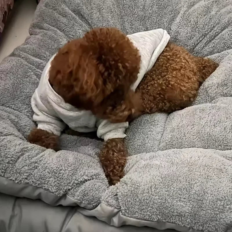 Hot Sale 120*60cm Extra Large Double Sided Dog Bed - Plush Super Soft Polyester Thickened Sofa-Style Mat for Large Breed Dogs