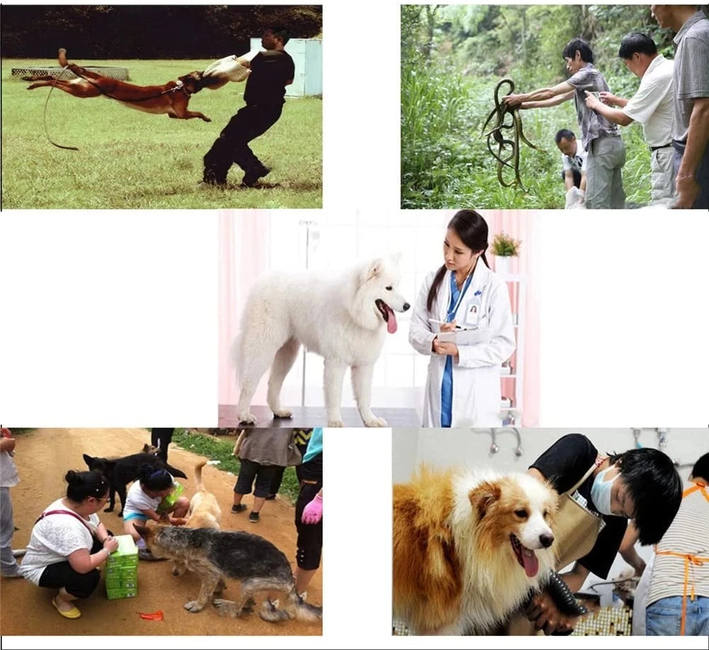 Dog Cats Animal Anti-bite Protection Gloves Cat Scratch Snake Bite Pet Gloves Leather Thickening Training Dog Anti-biting Glove