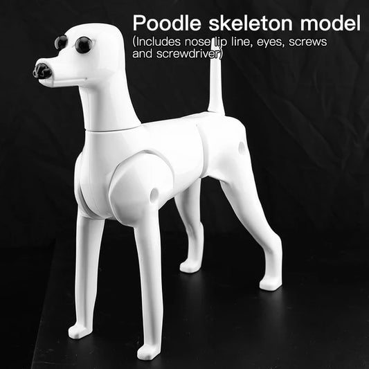 Pet Professional Beauty Simulation Fake Hair Model Teddy for Practice Special Skelenton Environmentally Friendly PE Material