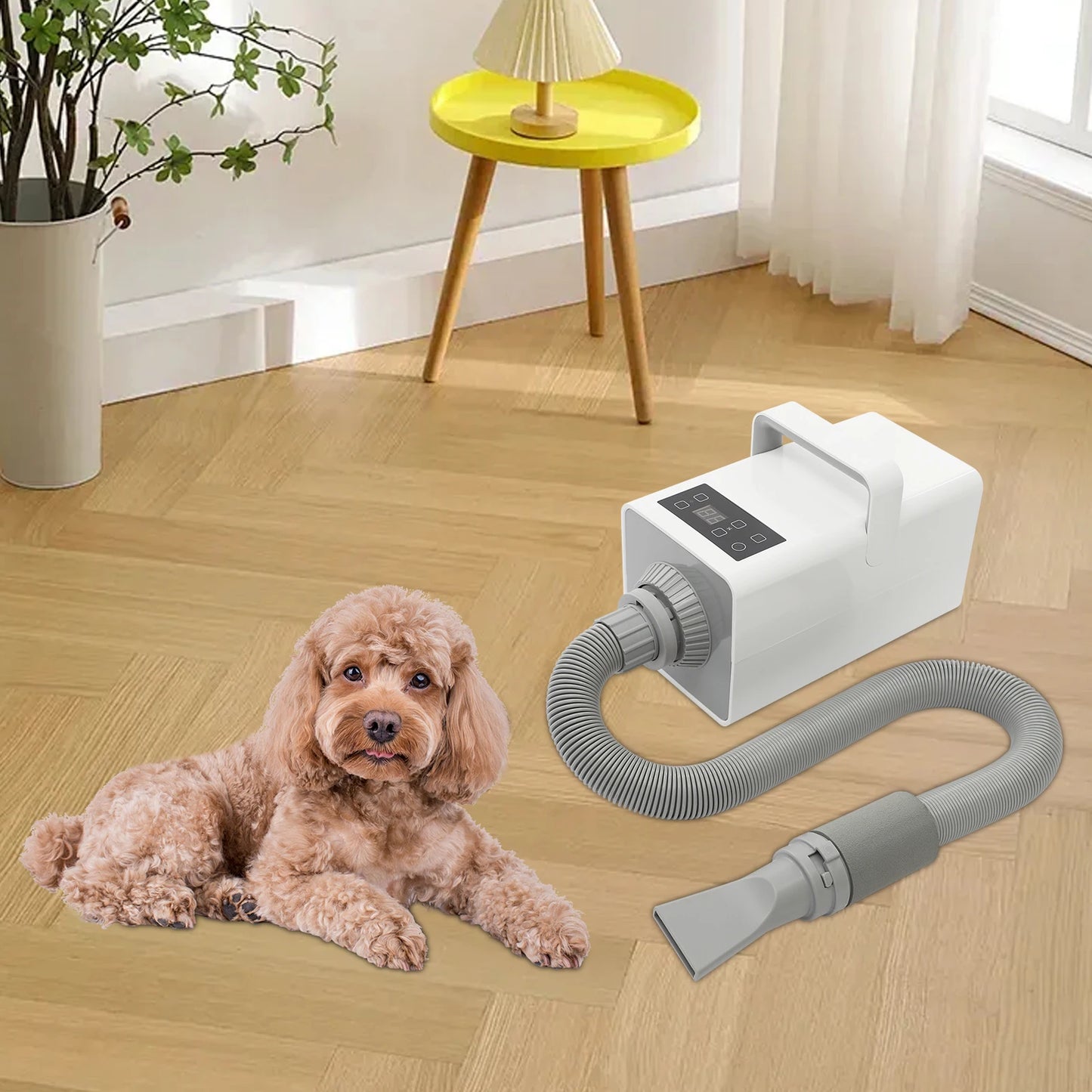1900w Negative Ion Pet Grooming Hair Dryer Adjustable Temperature Speed For Home Pet Salon Dog Cat Fur Drying
