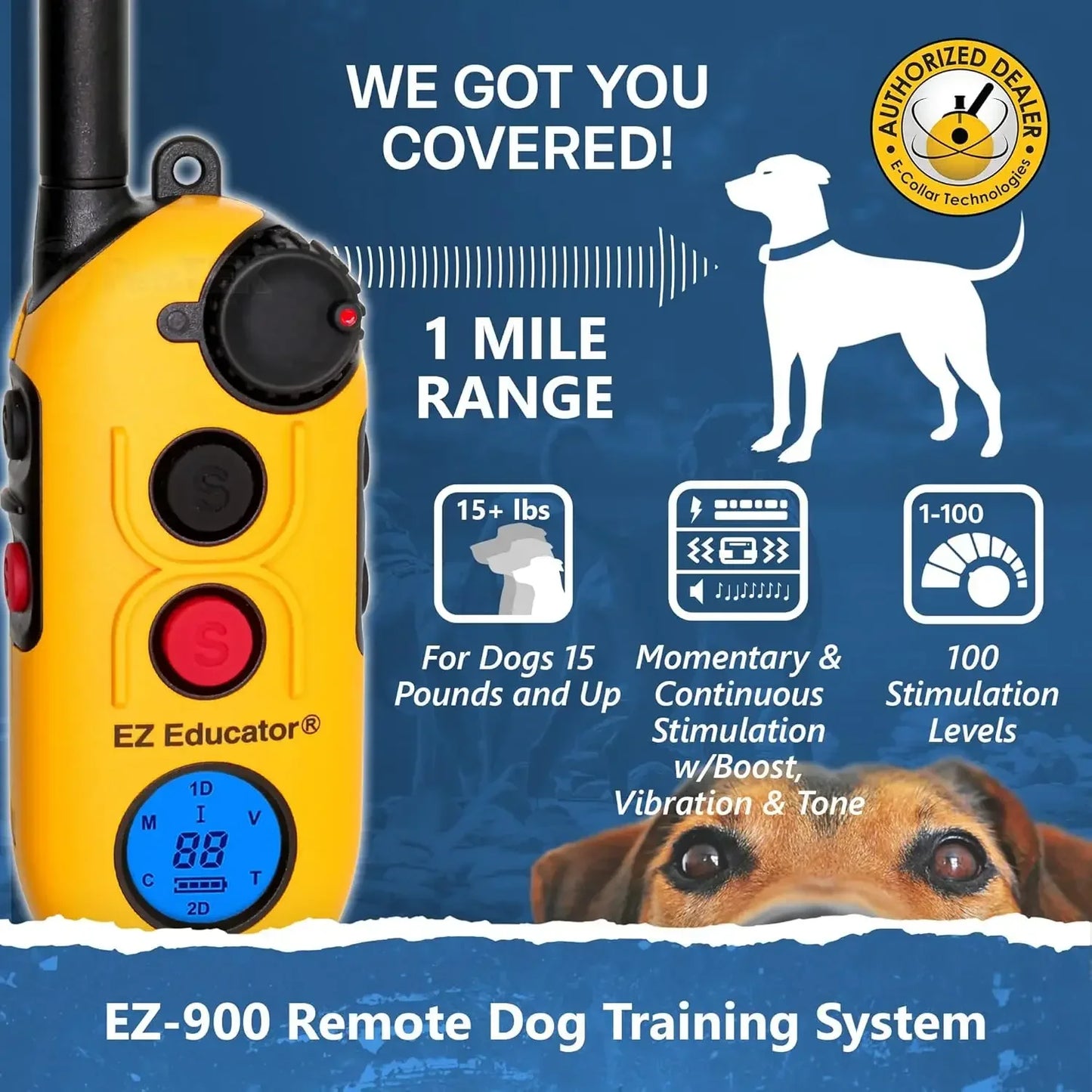 EZ-900 E Collar for Dog Training with Remote - 1/2 Mile Range, Waterproof, 256 Blunt Stimulation Levels, Tone or Vibration Mode,