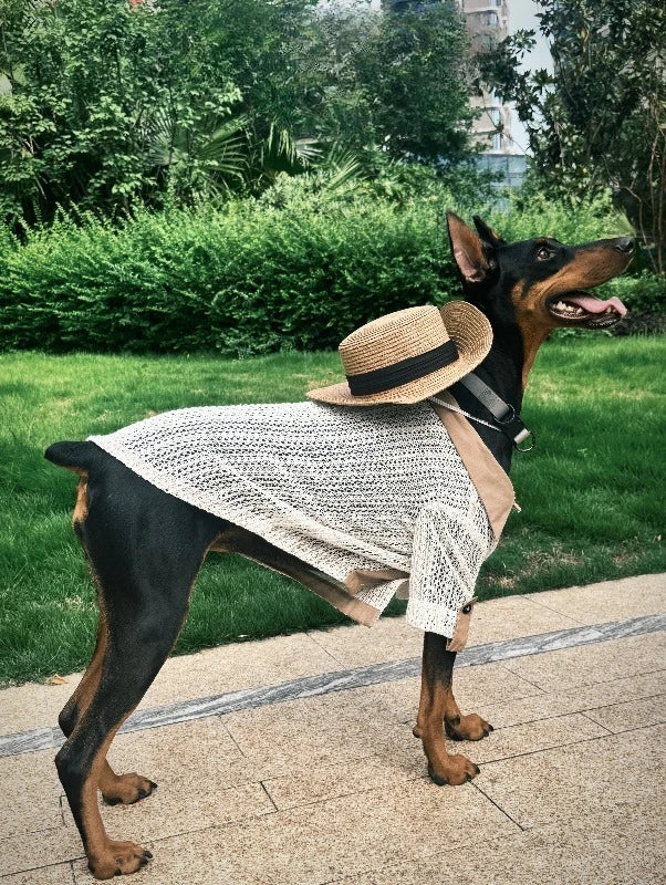 Original Pet Vintage Shirt Hollow Knit Mesh Breathable Short Sleeve Doberman Large Breed Dog Daily Summer Wear Pet Clothes