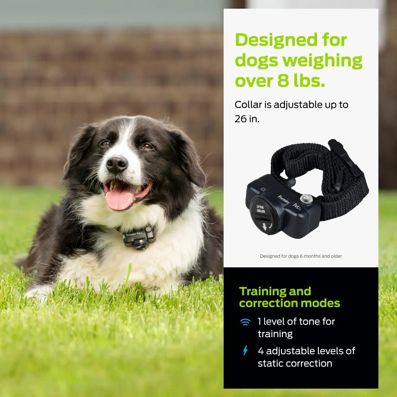 In-Ground Add-A-Dog Collar - Waterproof Receiver with Static Correction - Comfortable Nylon Strap - Dog Yard Safety