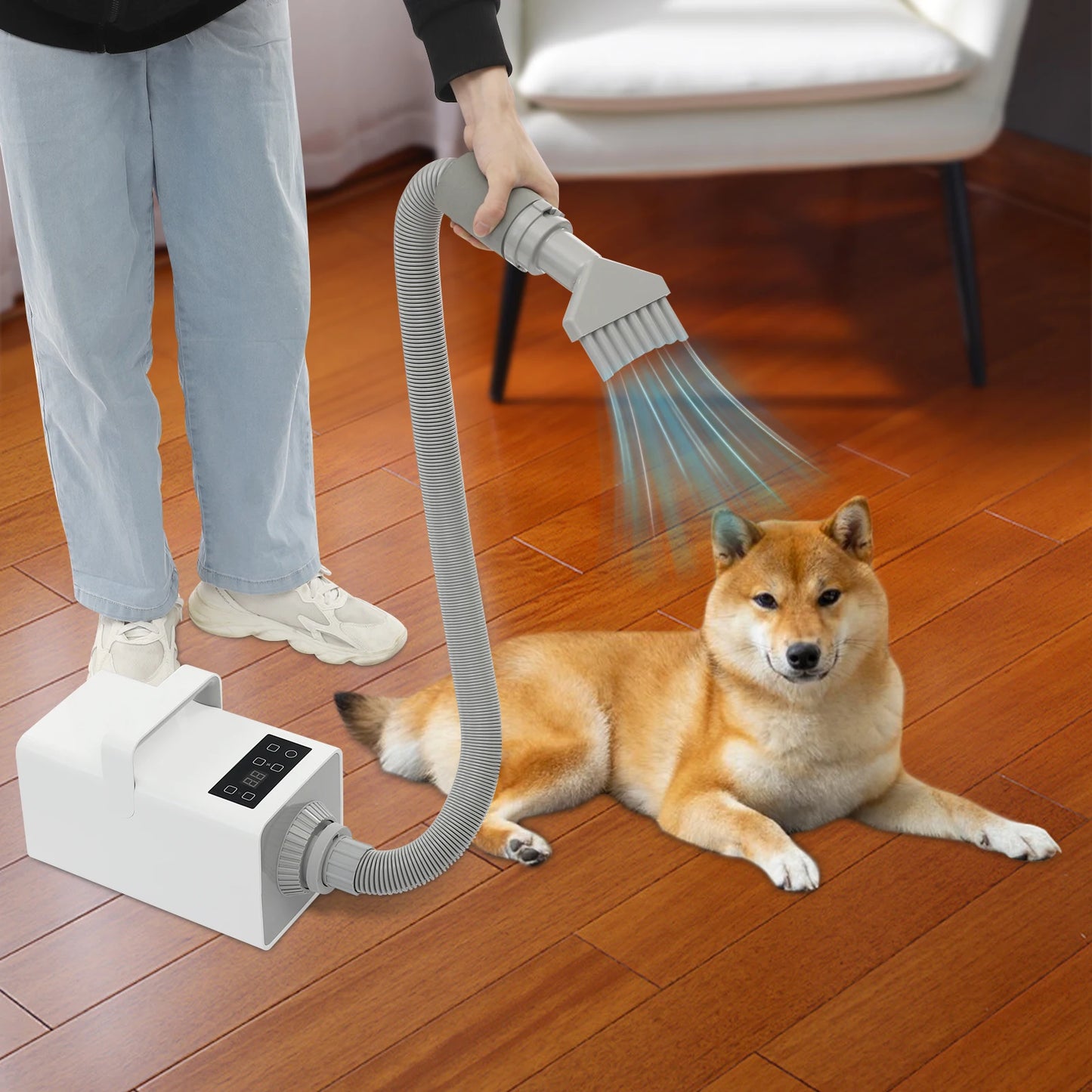 1900w Negative Ion Pet Grooming Hair Dryer Adjustable Temperature Speed For Home Pet Salon Dog Cat Fur Drying