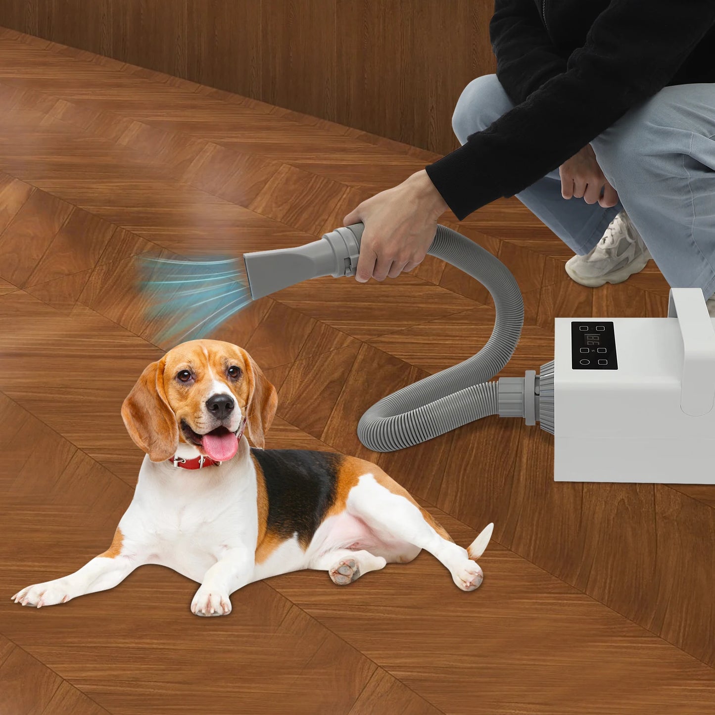 1900w Negative Ion Pet Grooming Hair Dryer Adjustable Temperature Speed For Home Pet Salon Dog Cat Fur Drying
