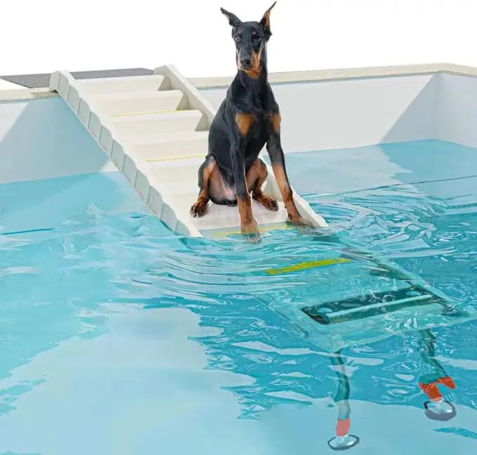 Foldable Dog Pool Ramp with 33" Legs for Free Height Adjustment,Safe & Easy Access dog water ramp for pool, Pool Ramp for Dogs U
