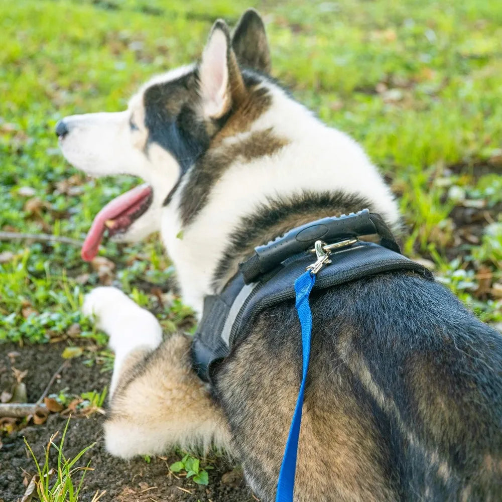 15-100ft Dog Training Leash, Nylon Long Lead for Recall, Obedience, Camping, Backyard - Black