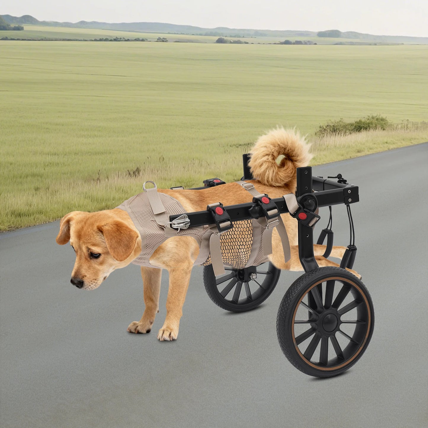 Pet Walking Aid Adjustable Dogs Wheelchairs 2-wheel Pet Rehabilitation Walking Aid Portable Walk Trolley Tools for Hind-Leg Support