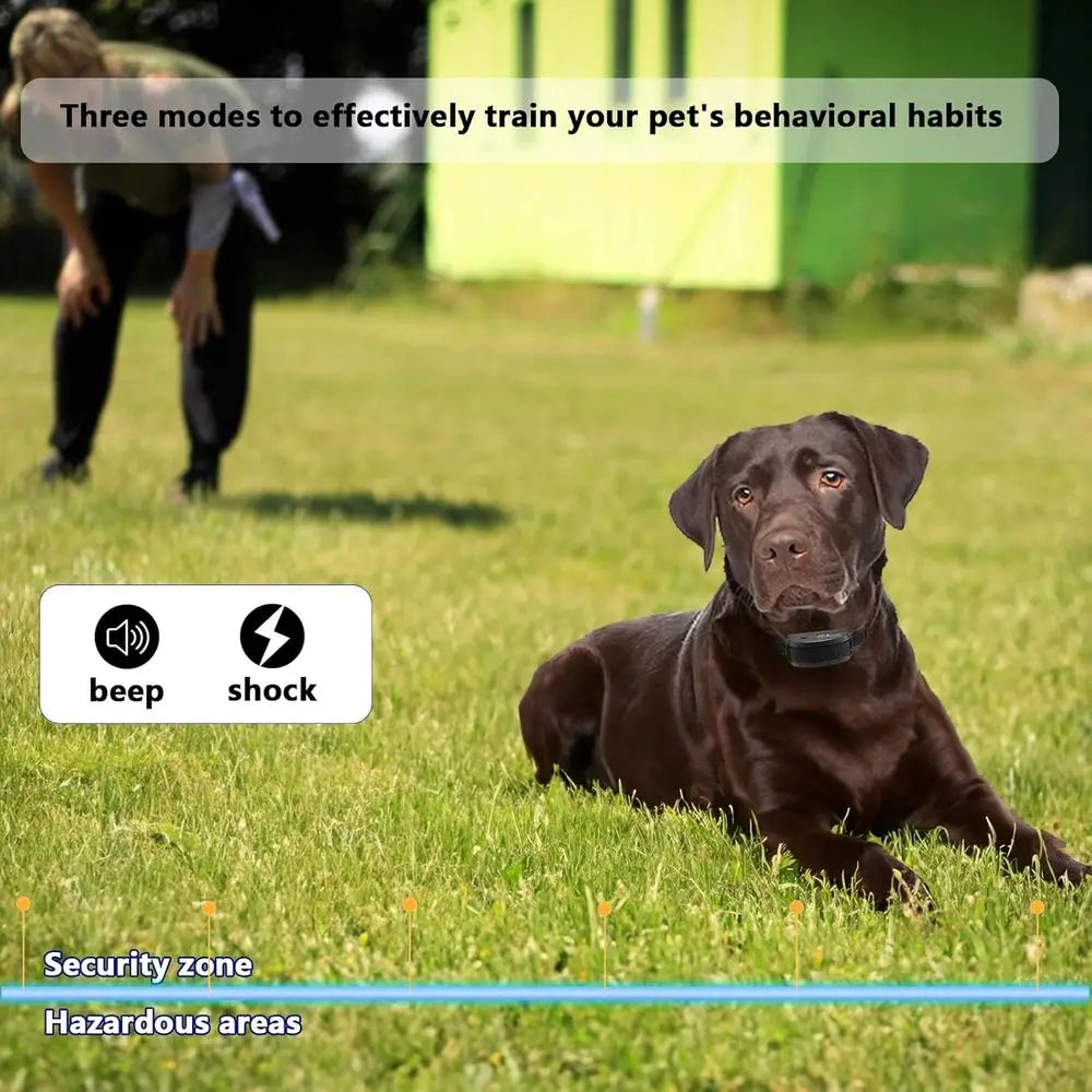 Dual Dog Underground Fencing System, Waterproof Electric Training Collar for Large Dogs, Wireless Dog Fence Kit