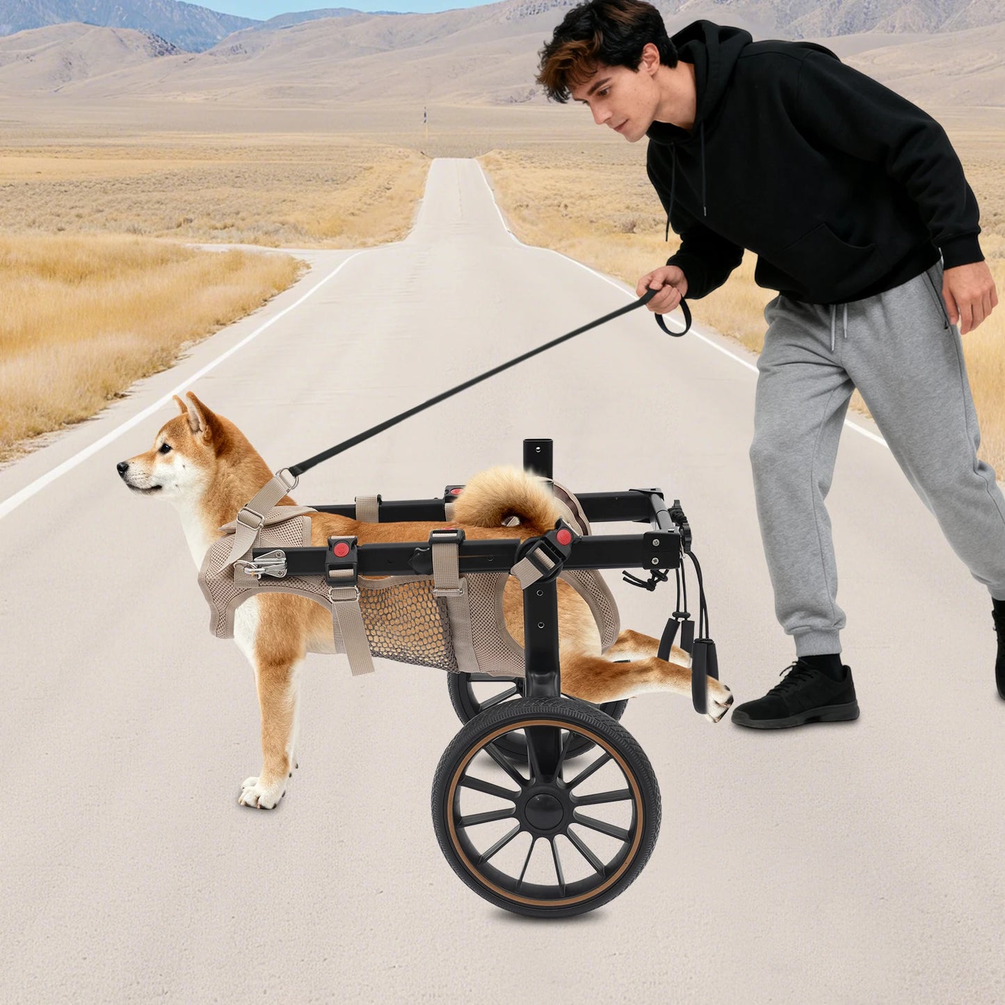 Pet Walking Aid Adjustable Dogs Wheelchairs 2-wheel Pet Rehabilitation Walking Aid Portable Walk Trolley Tools for Hind-Leg Support