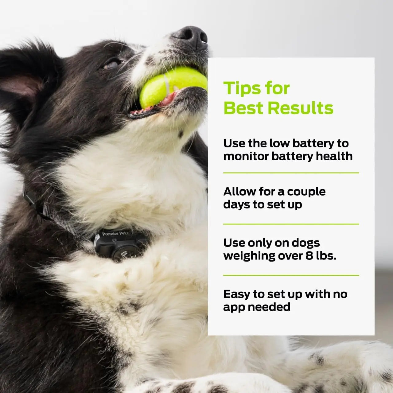 In-Ground Add-A-Dog Collar - Waterproof Receiver with Static Correction - Comfortable Nylon Strap - Dog Yard Safety