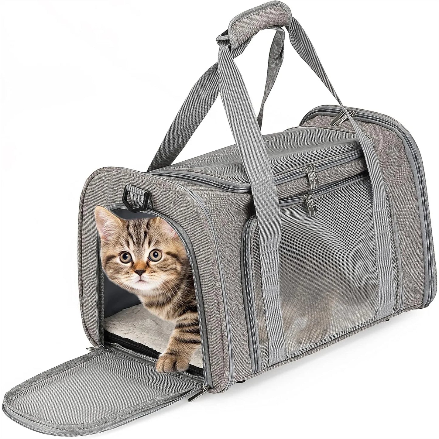 Pet Carrier for Small Cats & Dogs, 17.5x11.2x11.5in, Breathable Mesh Travel Bag with Shoulder Strap