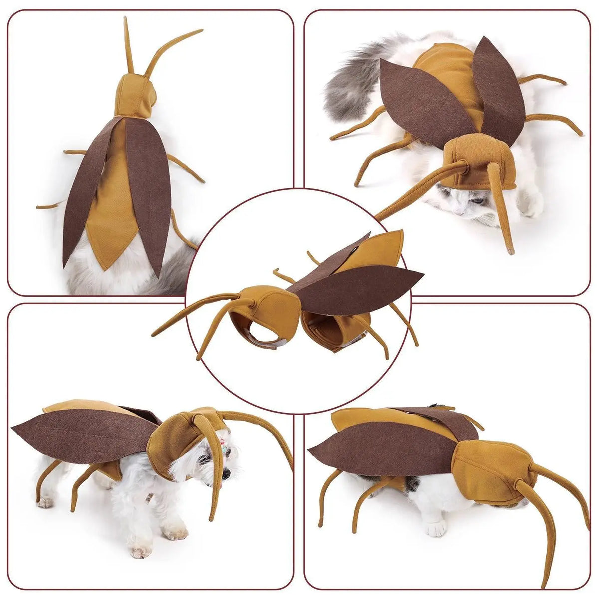 Dog cockroach cosplay transformation costume pet Halloween funny party costume small and medium-sized dog holiday costume
